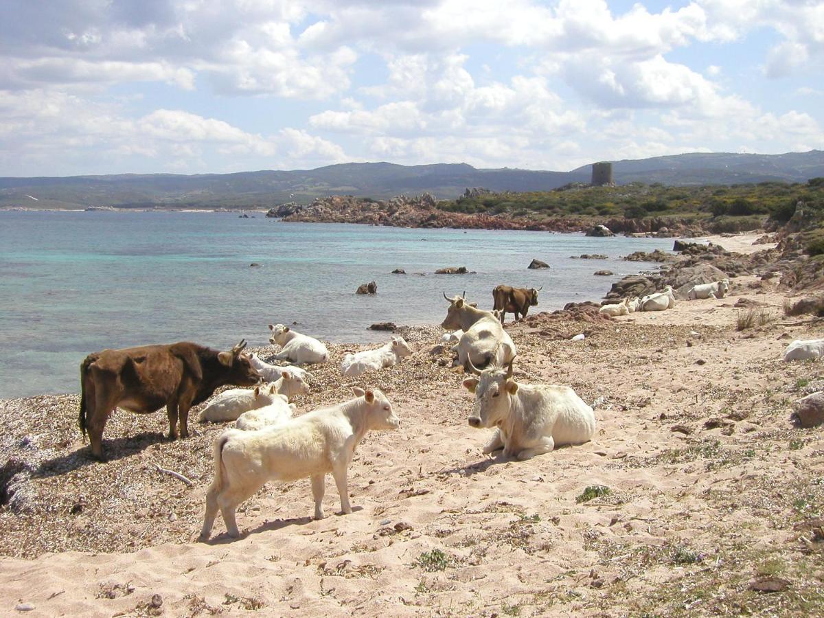 Li Pireddi Βίλα Aglientu Εξωτερικό φωτογραφία